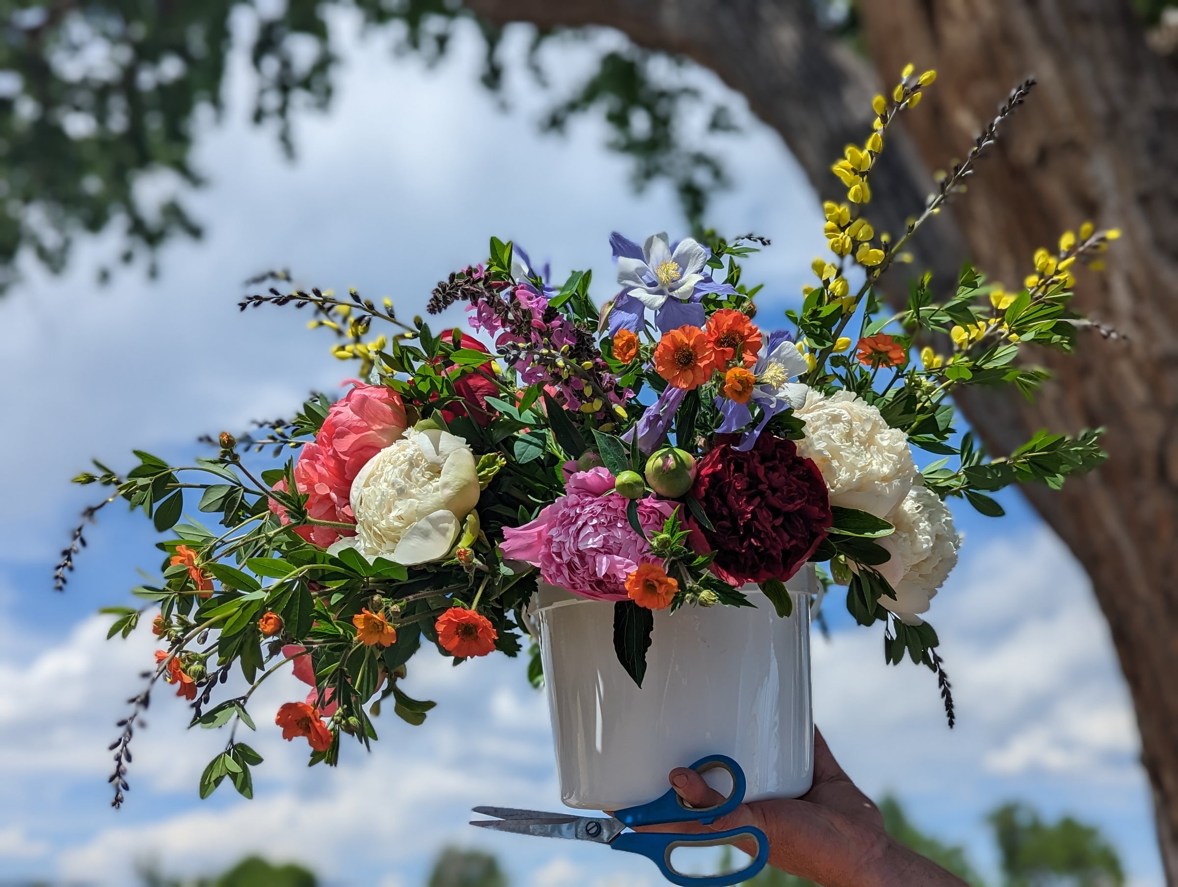 Pick-Your-Own Peonies 12-stem Bucket | Garden Sweet | Farm Events